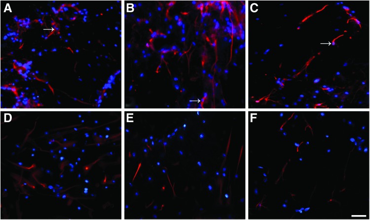 FIG. 7.