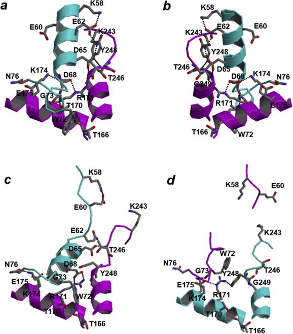 Fig. 8