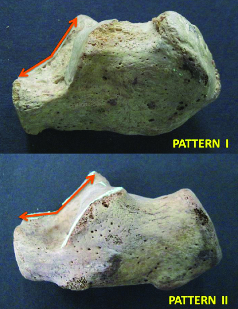 [Table/Fig-2]: