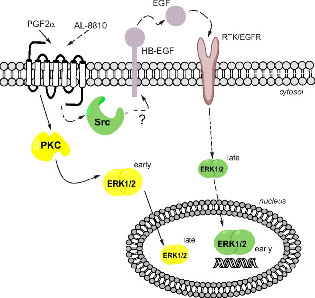 Fig. 11.