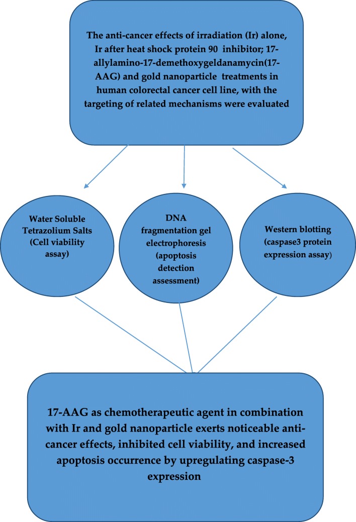 Graphical abstract