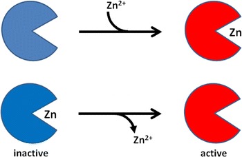 Fig. 1