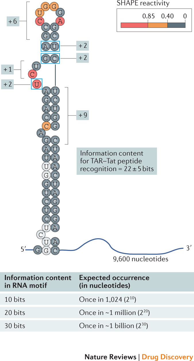 Box 2: Information content of RNA targets