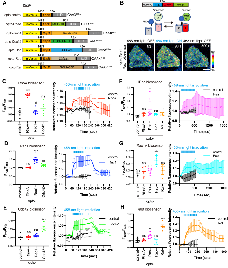 Figure 2