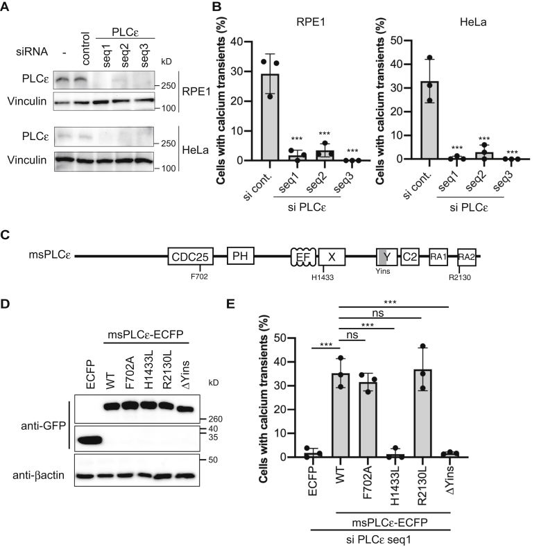 Figure 5