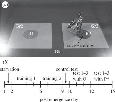 Figure 2.