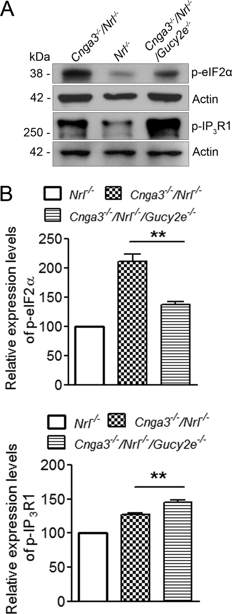 FIGURE 7.