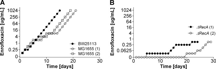 FIG 4