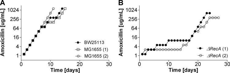 FIG 3