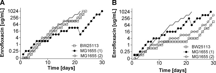 FIG 6