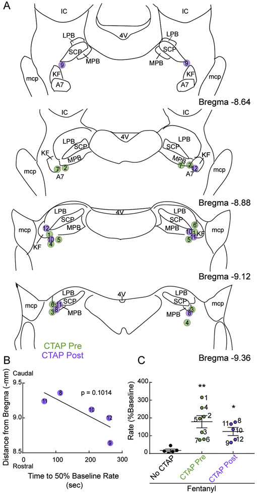 Figure 7.