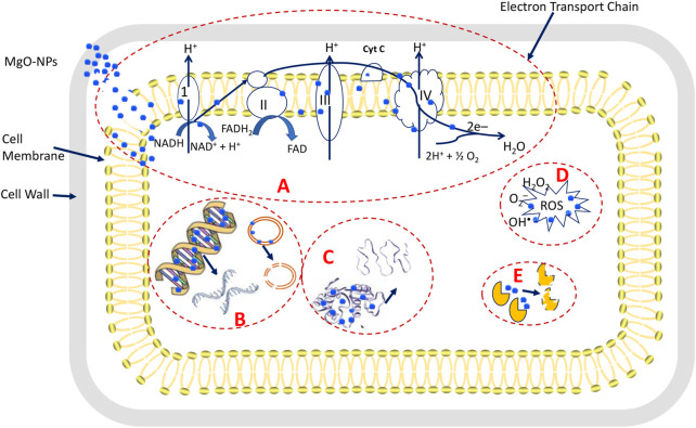 FIGURE 7