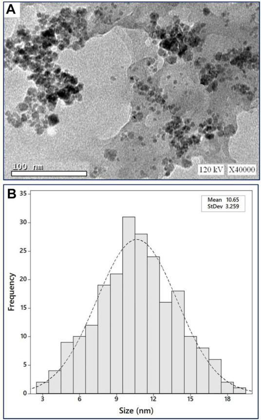 FIGURE 3