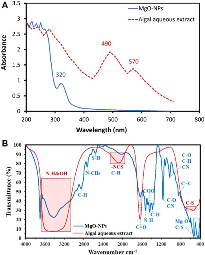 FIGURE 2