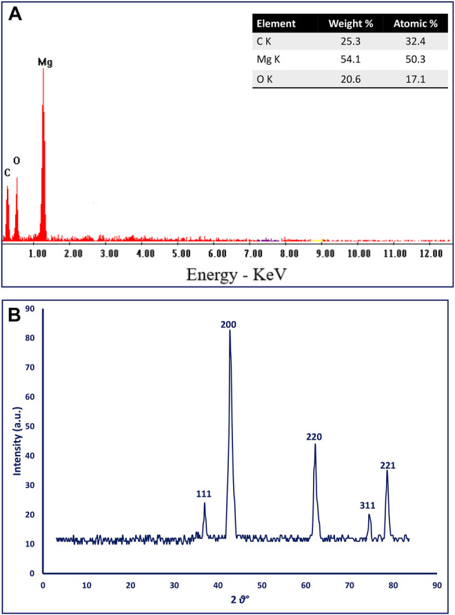 FIGURE 4