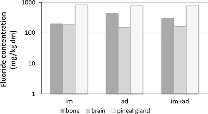 Fig. 1