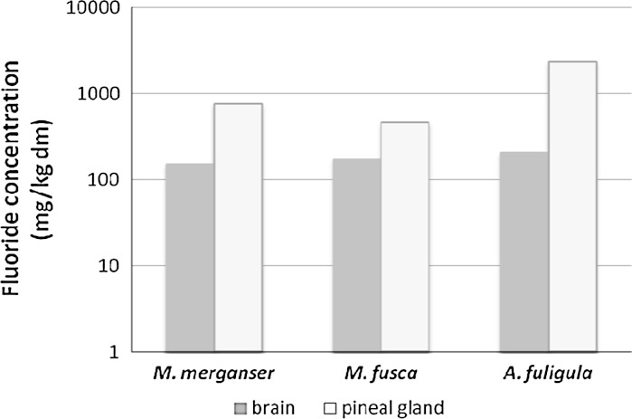 Fig. 2