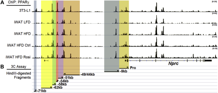 Figure 3