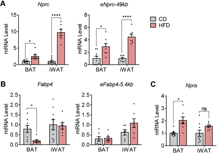 Figure 6