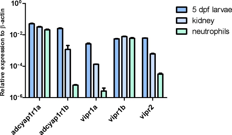 Fig 5