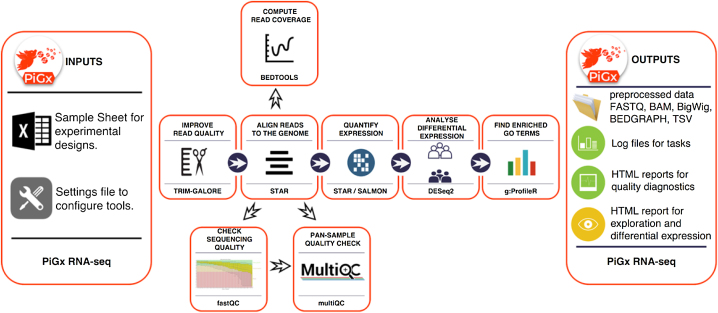 Figure 1: