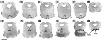 Figure 10.