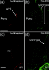 Figure 9.