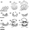 Figure 6.