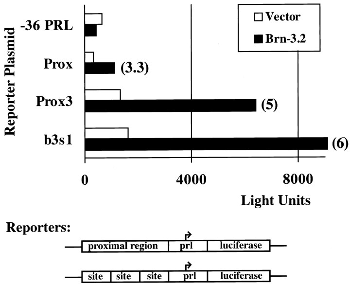 Fig. 8.