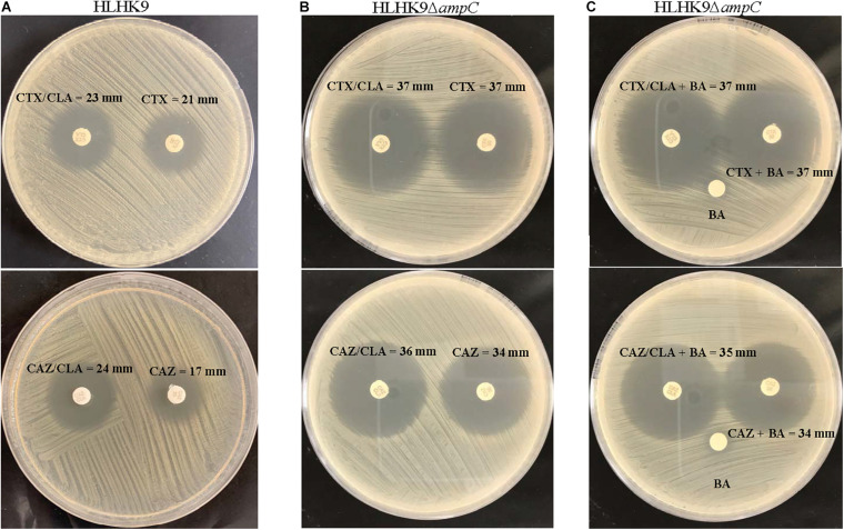 FIGURE 2