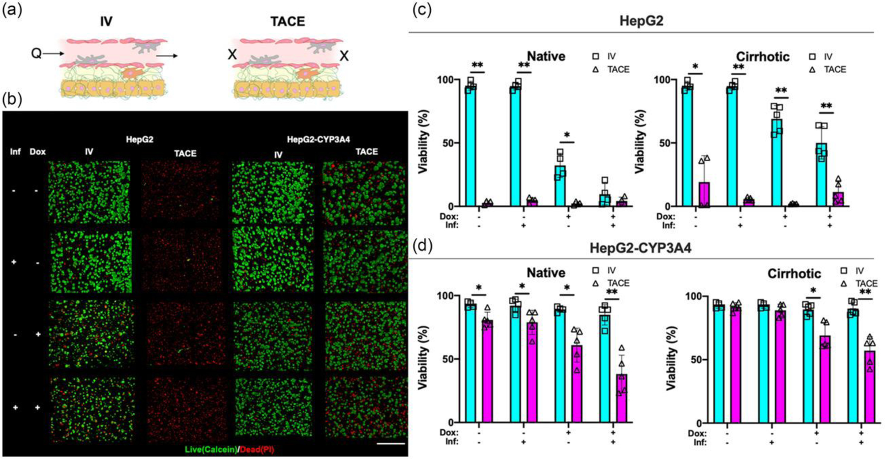 Figure 4: