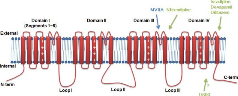 Fig. (1)