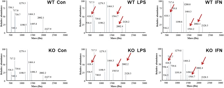 Fig. 4.