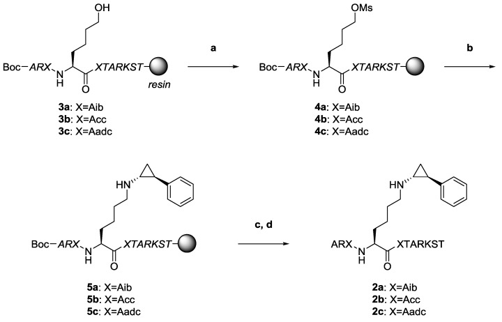 Scheme 1