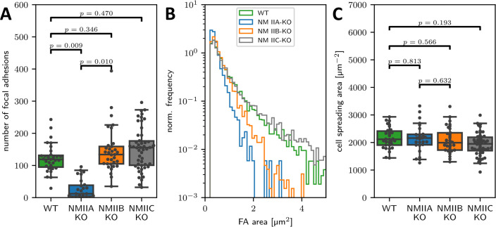 Figure 1—figure supplement 2.