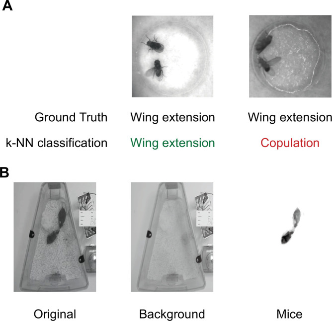 Figure 1—figure supplement 1.