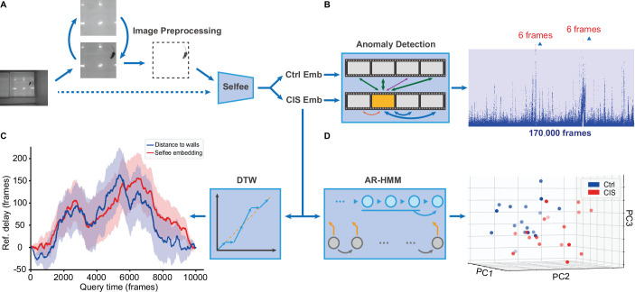 Figure 6.