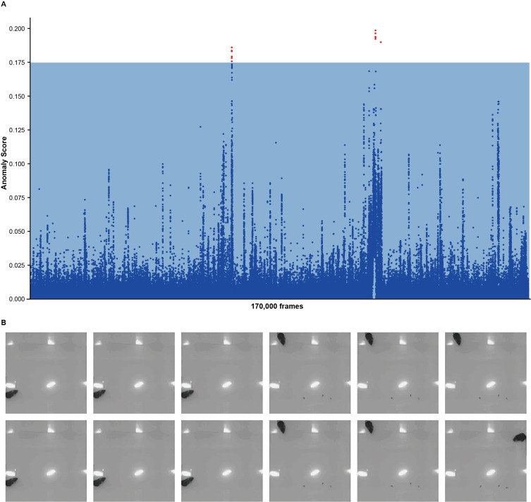 Figure 6—figure supplement 1.