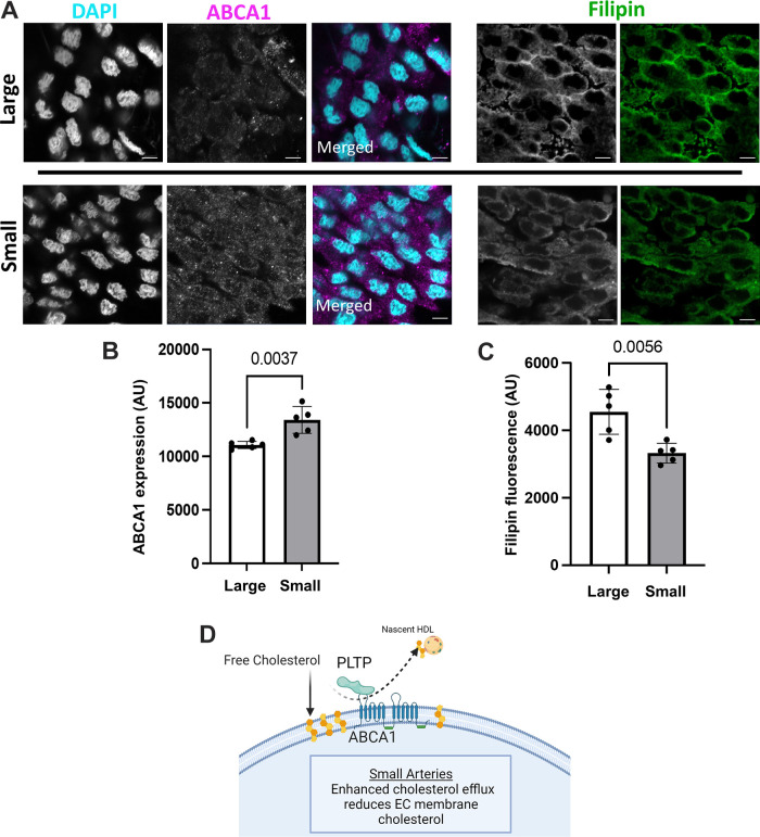 Figure 10.