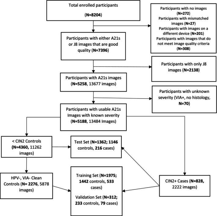 FIGURE 2