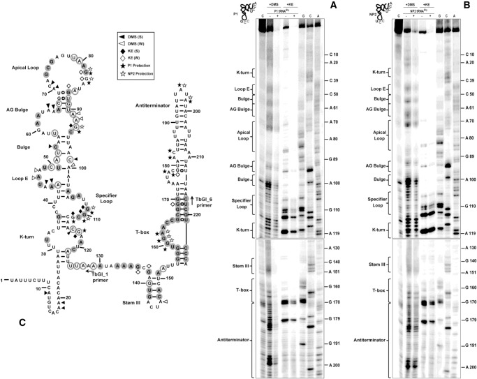 FIGURE 6.