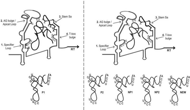 FIGURE 7.