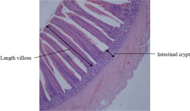 Figure 1