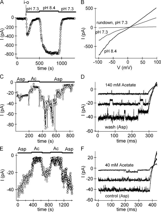 Figure 11.