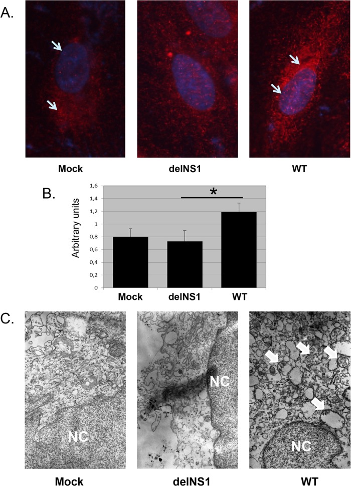 Fig 3