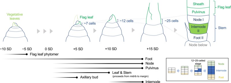 Figure 6.