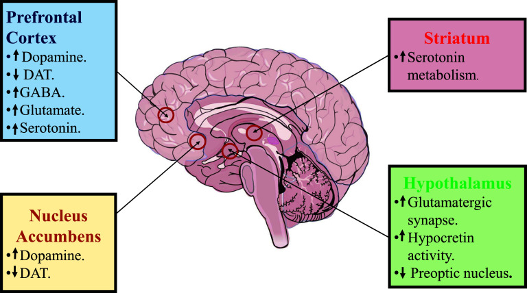 Fig. (2)