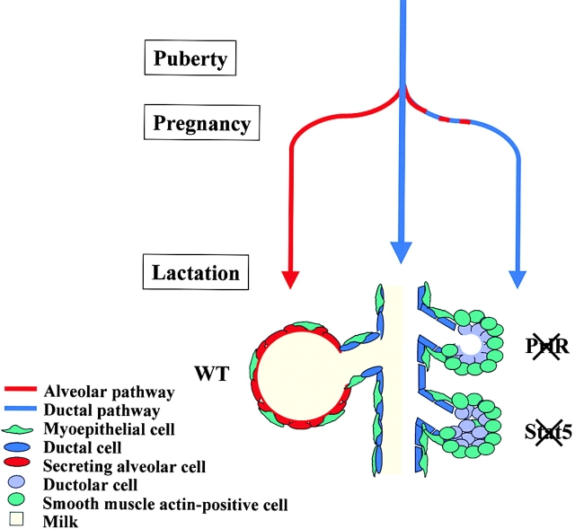 Figure 9.