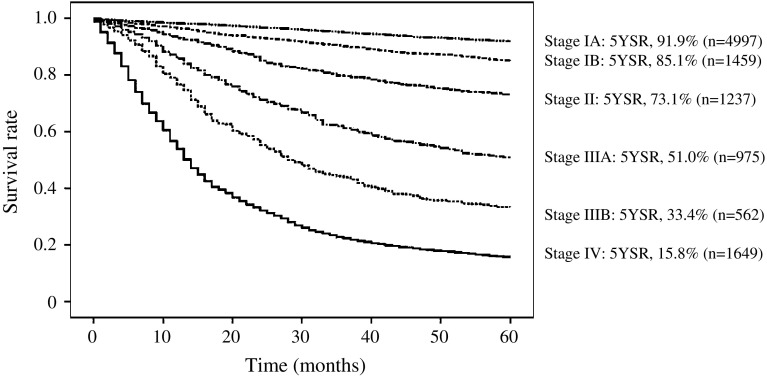 Fig. 12