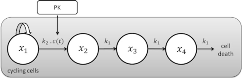 Fig. 1